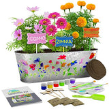 Paint & Plant Flower Growing Kit - Kids Gardening Science Gifts for Girls and Boys