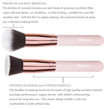 PHOERA Foundation 102 and 104 & Face Primer,Liquid Full Coverage Foundation Set,Foundation Brush Powder Brush,5 Makeup Sponge,30ml PHOERA 24HR Matte Oil Control Concealer (Buff Beige #104)(Nude #102)