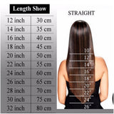 16 Inch Clip in Human Hair Extensions 65g Thin 8 Pcs Clip on Human Hairpieces Standard Weft Soft Long Straight Hair for Women Gift #99J Wine Red