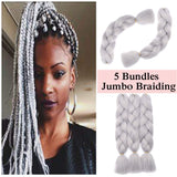 24 inch Jumbo Braiding Hair Jumbo Braid Hair Extensions Jumbo Box Braids Crochet Hair Long Rainbow Colorful for Women Kids DIY High Temperature Synthetic Fiber Silver Grey 5 Bunldes
