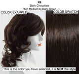 12" Simply Wavy Clip on Pony Color R6 DARK CHOCOLATE - Hairdo Hairpieces Heat Friendly Synthetic Claw Clip Extra Volume Curly Straighten Bundle MaxWigs Hairloss Booklet