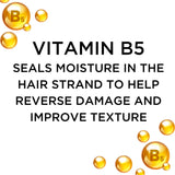 AYAM Beautycare Dead Sea Minerals + Vitamin B5 Shampoo & Conditioner Set, Nourishing, Daily Balance, Clean and Restore for All Hair types 13.5 fl Oz Ea (Set of 2).