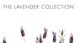 Pre de Provence Ceramic Candle, Lavender, 10.9 Ounce