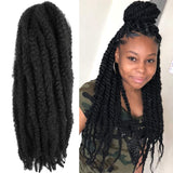 6 Packs Marley Twist Braiding Hair 24 Inch Long Afro Kinky Curly Marley Crochet Hair Kanekalon Synthetic Marley Braids Hair Extensions Marley Hair For Women (24Inch, 1B)