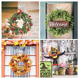 VIS'V Wreath Hanger, Large Clear Reusable Heavy Duty Wreath Hanger Suction Cup