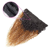 Seelaak Ombre Brown Curly Clip in Hair Extensions Brazilian Virgin Remy Hair Kinky Curly Clip Ins Human Hair Extension