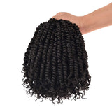 Flotig Pre-twisted Passion Twist Hair for Crochet 10 Inch 8Packs Dark Brown Pre-looped Passion Twists Crochet Hair Extension Pretwisted Synthetic Crochet Braids (10 Inch 8Packs, 2#)