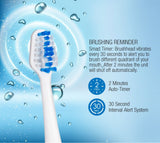 Pursonic S430 SmartSeries Electronic Power Rechargeable Sonic Toothbrush, 12 Brush Heads Included, Red