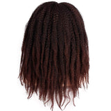 AISI BEAUTY Marley Twists Hair Kinky Hair for Braiding 18 inch Marley Hair Kinky Curly Braiding Hair Extension(1B-30#)