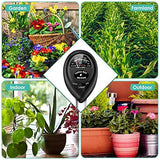 Soil pH Meter, 3-in-1 Soil Moisture/Light/pH Tester and Humidity Meter for Gardening