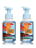 Bath and Body Works 2 Pack Crisp Morning Air Gentle Foaming Hand Soap. 8 Oz