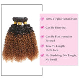 Seelaak Ombre Curly Hair Bundles Two Tone 1b/30 Kinky Curly Bundles Ombre Brown 3 Bundles Remy Hair 10A Grade Brazilian Virgin Human Hair Extension for Black Women (10 12 14)
