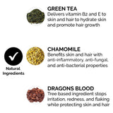 ZEUS Beard Shampoo and Wash for Men - 8oz - Beard Wash with Natural Ingredients (Scent: Verbena Lime)