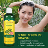TheraNeem Gentle Therap Shampoo | Soothing Formula w/Organic Neem Oil | All Hair Types & Sensitive Scalp, Vegan | 12oz