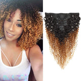Seelaak Ombre Brown Curly Clip in Hair Extensions Brazilian Virgin Remy Hair Kinky Curly Clip Ins Human Hair Extension