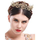 Drecode Bridal Crowns and Tiras Gold Rhinestones Dragonfly Crown Crystal Bride Hair Accessories for Women and Girls