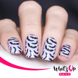 Halloween 4 pack (Bats, Pumpkin Faces, Monster Blanket, Dripping) for Nail Art Design