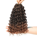 12inch Gogo Curl Crochet Hair for Black Women Curly Crochet Hair Pre Looped Hair Extensions 6pc/pack (1B/30)