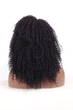 DQ Kinkys Curly Afro Lace Front Wigs Synthetic 16 Inch L Part Heat Resistant Replacement Wigs for Women, Hand Tied Natural Hairline Half Machine Made 90% Black Color Mixed 10% 99J(16 inch, Mixed 99J)