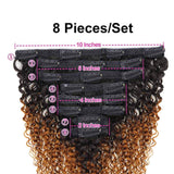 Seelaak Ombre Brown Curly Clip in Hair Extensions Brazilian Virgin Remy Hair Kinky Curly Clip Ins Human Hair Extension