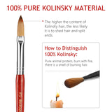 100% Pure Kolinsky Nail Brush, iBealous Redwood Sable Nail Art Brush Wooden Handle Pen Professional Application Drawing Salon Quality (Size 12)