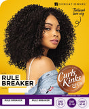 Sensationnel Curls Kinks & CO COILY 3C-4A Empress Lace Edge Wig - RULE BREAKER (2 [Darkest Brown])