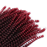 3 Pack 12Inch Spring Twist Crochet Braiding Hair Nubian Twist Hair Bomb Twiat Crochet Hair Ombre Color Crochet Braids Passion Twist Hair Extensions(T1B/BUG#)