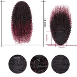 AISI BEAUTY Kinky Curly Drawstring Ponytail for Black Women Afro Kinky Ponytail Drawstring Clip on Ponytails HairPiece(1B/BUG#)