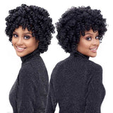 Harlem125 Synthetic Crochet Hair Braid - KIMA KALON LARGE 10