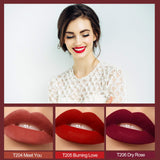 10pcs Matte Liquid Lipstick Set, Arlega 0.07 oz Full Size Velvety Smooth Full Pigmented and Long Lasting Waterproof Lipgloss for Daily and Party Makeup, Gift for Women