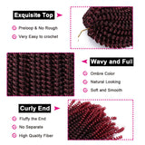 12 Inch Spring Twist Crochet Braids Bouncy Bomb Twist Crochet Hair Synthetic Twist Braids Ombre Colors Fluffy Braiding Hair Extension 4 Packs(30Strands/Pack,T1B/BUG#)