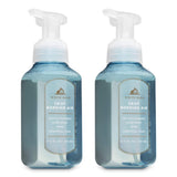 Bath & Body Works Crisp Morning Air Gentle Foaming Hand Soap Set of 2