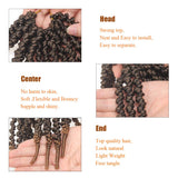 Leeven 8 Inch Pre-twisted Spring Twist Hair 6 Packs Ombre Brown Short Crochet Braids Hair For Bob Spring Twists Braiding Hair Synthetic Passion Twist Hair For Black Women (15strands/pack,T27)