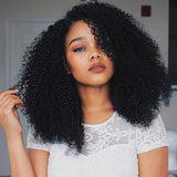 DQ Kinkys Curly Afro Lace Front Wigs Synthetic 16 Inch L Part Heat Resistant Replacement Wigs for Women, Hand Tied Natural Hairline Half Machine Made 90% Black Color Mixed 10% 99J(16 inch, Mixed 99J)