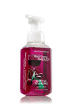 Bath and Body Works Kitchen Favorites Soap Collection (Set of 4) Black Cherry Merlot + Kitchen Lemon + Eucalyptus Mint + Peach Bellini -- Bath & Body Works Gentle Foaming Hand Soaps