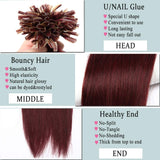 U Tip Human Hair Extensions Pre Bonded Nail Tipped Real Human Hair Piece Italian Keratin U Tip Fusion Extensions Silky Straight 100 Strands 16"-50g (#99J Wine Red)