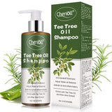 Tee Tree Oil Shampoo, Anti Dandruff Shampoo, Anti Drating Dandruff, Hair Loss Itchy, Shampoo for Dandruff Oily Itchy Scalp, Adjust Water-oil Balance & Anti-itch & Anti-inflammatory