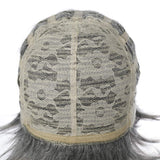BERON Men’s Short Straight Gray Wig Silver Grey Cosplay Costume Ash Gray Wig Full Synthetic Rose Net Wig with Wig Cap Included