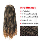 3 Packs Spring Twist Hair 8Inch Braids Ombre Colors Crochet Bomb Twist Hair High Temperature Fiber Synthetic Braiding Hair Extensions 100g (12 Inch-3Pack, 1B/27)