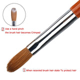 A&K LYDIA Acrylic Nail Brush Crimped for acrylic application Manicure crystal Powder Pedicure-2pcs Pure 100% Konlisky Sable hair Acrylic Nail Detail and Nail Art Liner Brush Wooden handle (Size #12)
