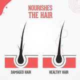Beardhood Onion Oil with Redensyl for Hair Growth and Anti Hairfall - 20% Red Onion Extract, For Men & Women, Mineral Oil & Paraben Free, 250ml