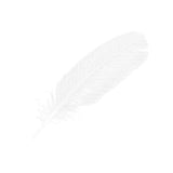 Derek Lam 10 Crosby | Silent St. | Eau De Parfum | Musky and Floral Scent | Spray Perfume for Women | 1.7 Oz