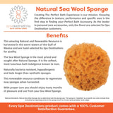 Natural Sea Wool Sponge 4-5