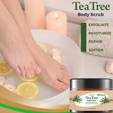 Chamuel Tea Tree Body & Foot Scrub - 100% Natural Exfoliating Body Scrub with Dead Sea Salt, Plant-based Stem Cells, Ginger & Essential Oils– Rejuvenates & Soothes Dead & Dry Skin (15.1oz)
