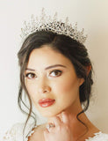 SWEETV Crystal Wedding Tiara for Women, Royal Queen Crown Headband, Rhinestone Princess Hair Accessories for Prom Birthday, Silver