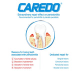 CAREDO Healing Periodontitis Toothpaste, The ONLY Toothpaste Cure Early Medium Term Periodontitis, Remove Dental Calculus, Avoid Loosening and Falling Off Teeth (100g, 1 count)
