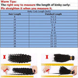 #1B Color Afro Kinky Curly Human Hair Clip in Extensions Virgin Mongolian Human Hair Clip in Hair Extensions for Black Women 7pcs/set 120gram/set (14inch)