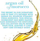 Ogx Moroccan Argan Oil Weightless Dry Oil 4 Ounce (118ml) (2 Pack)