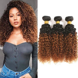 Seelaak Ombre Curly Hair Bundles Two Tone 1b/30 Kinky Curly Bundles Ombre Brown 3 Bundles Remy Hair 10A Grade Brazilian Virgin Human Hair Extension for Black Women (10 12 14)