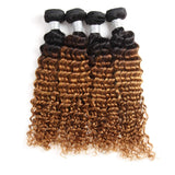 Brazilian Ombre Deep Wave Virgin Hair Weave 4 Bundles Wet and Wavy Brazilian Deep Curly Hair Bundles Ombre Human Hair Extensions Two Tone Color T1B/30(16 16 18 18)